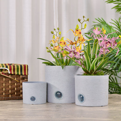 GreenShip Cylinder Self-Watering Plant Pots for Indoor Plants, 5 6 8 inch Set of 3 Planter with Self-Watering Spikes, Modern Decorative Flower Pots