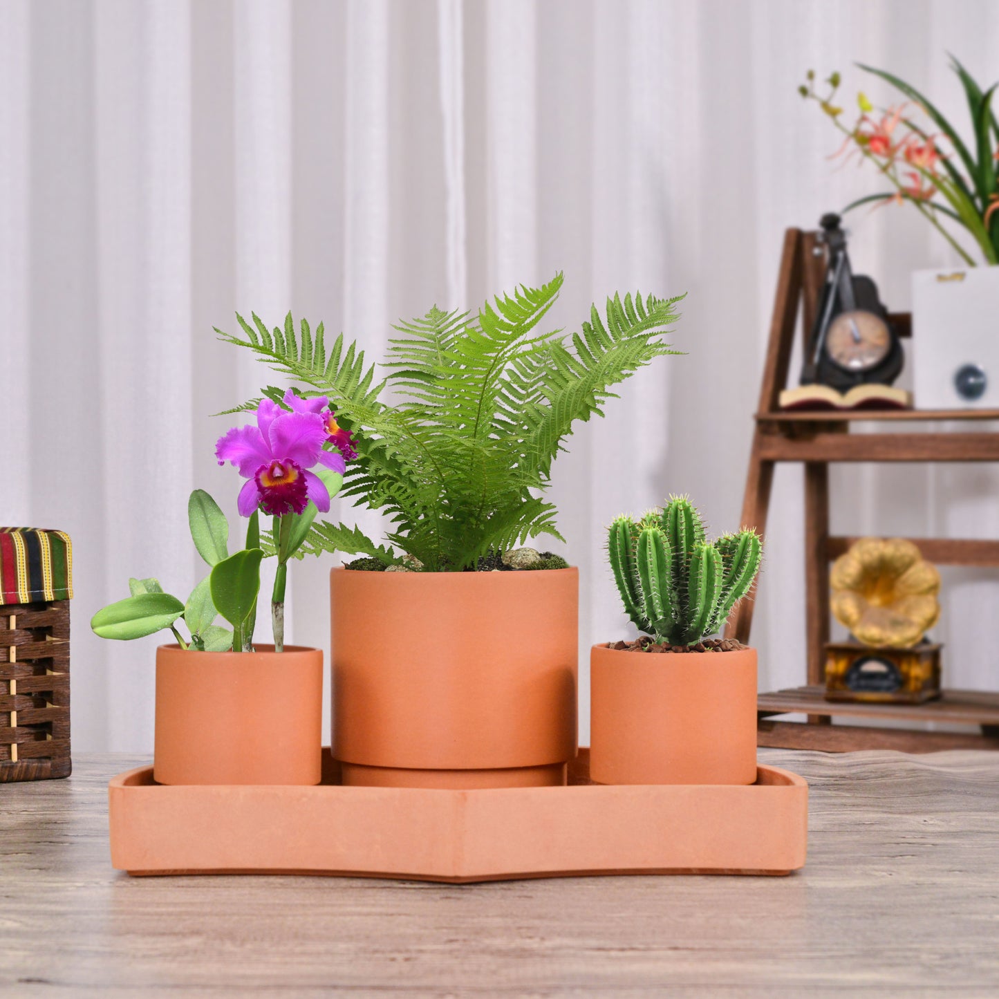 GreenShip Self-Watering Plant Pot Set of 3 with Saucer, Round Planter for Indoor Plants with Self-Watering Stand, Modern Decorative Flower Pots