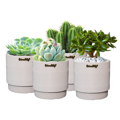 GreenShip Small Planters for Indoor Plants,5 Inch Planters with Drainage Hole,Modern Plant Pots,Windowsill Planters Set, Home Office Decorative Flower Pots