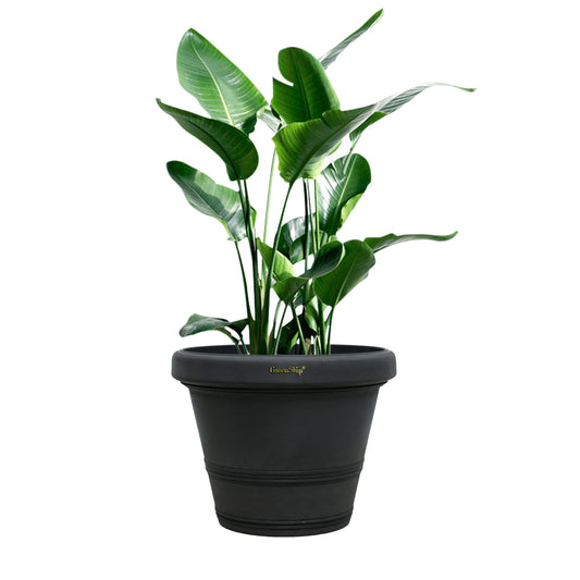 GreenShip 12 inch or 16 inch Large Planter with Drainage Hole,Modern Plant Pots for Indoor Outdoor Garden Plants and Flowers