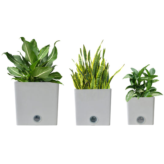 GreenShip Square Self-Watering Plant Pots for Indoor Plants, 6 inch 8 inch 10 inch Set of 3 Planter with Self-Watering Spikes, Modern Decorative Flower Pots