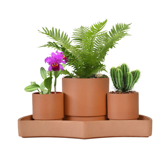 GreenShip Self-Watering Plant Pot Set of 3 with Saucer, Round Planter for Indoor Plants with Self-Watering Stand, Modern Decorative Flower Pots