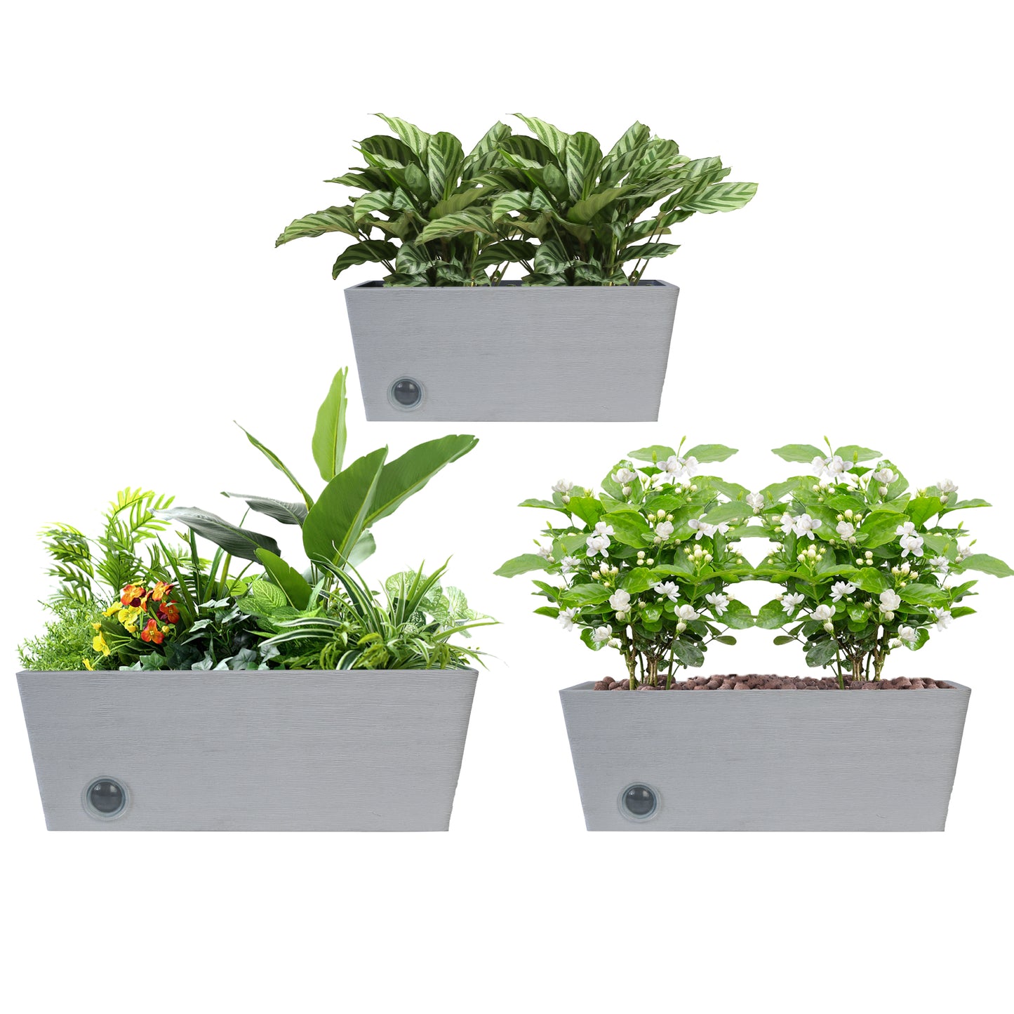 GreenShip Rectangular Wall Hanging Self-Watering Plant Pots for Indoor Plants, 10 14 18 inch Set of 3 Planter with Self-Watering Spikes, Modern Decorative Flower Pots