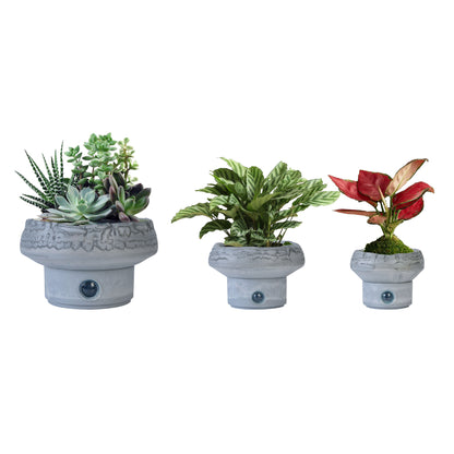 GreenShip Self-Watering Plant Pots, 6 8 12 inches Set of 3 Planter, Modern Decorative Flower Pots for Indoor Plants with Self-Watering Stand, Modern Decorative Flower Pots