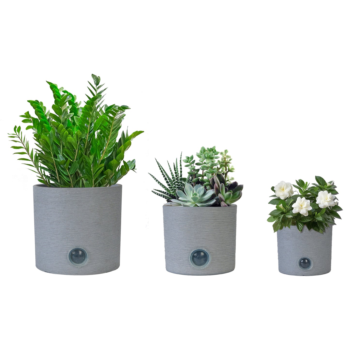 GreenShip Cylinder Self-Watering Plant Pots for Indoor Plants, 5 6 8 inch Set of 3 Planter with Self-Watering Spikes, Modern Decorative Flower Pots